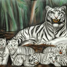 White tiger and cubs